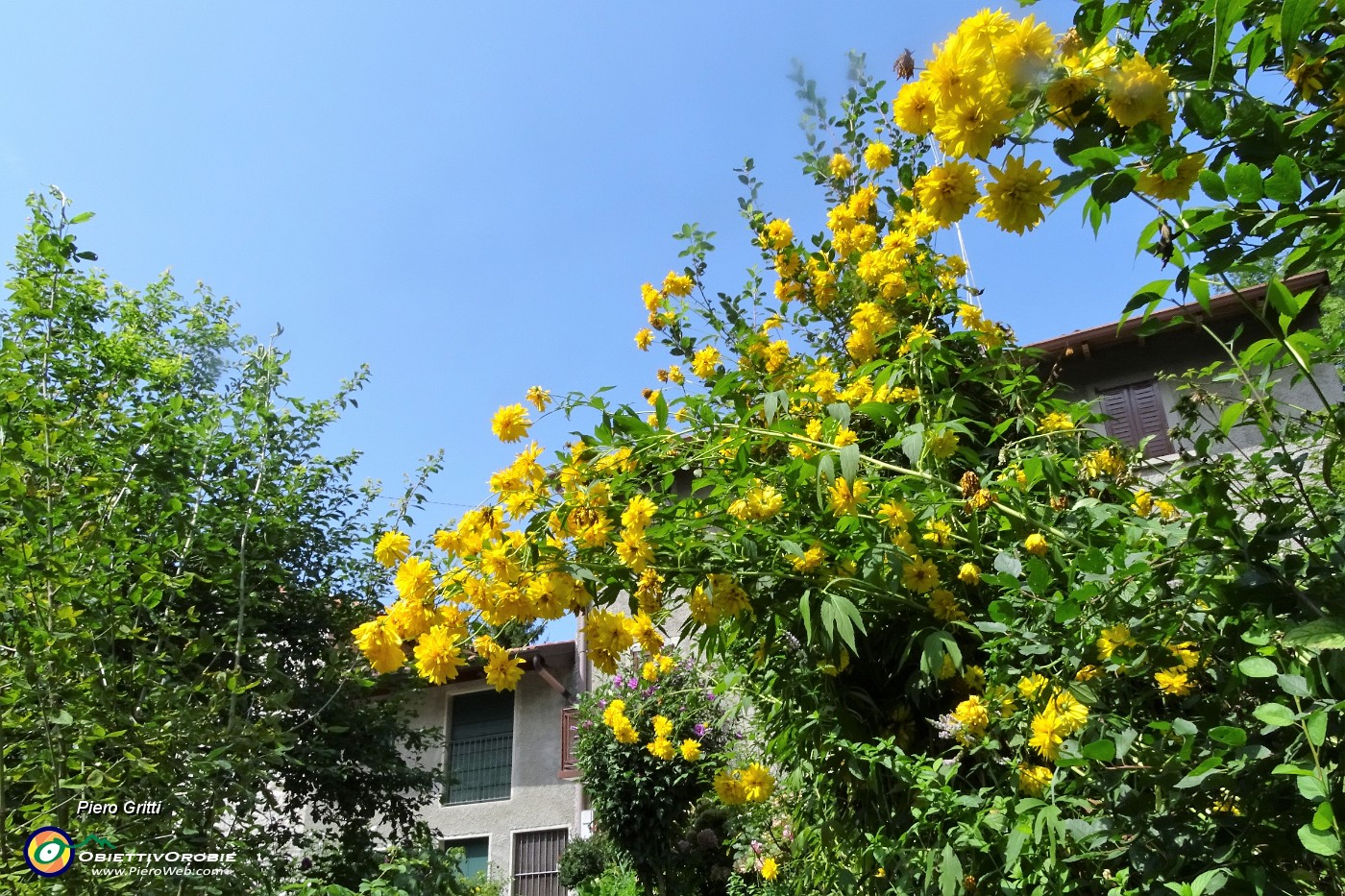 87 Bei fiori alle casette sulla via del ritorno.JPG